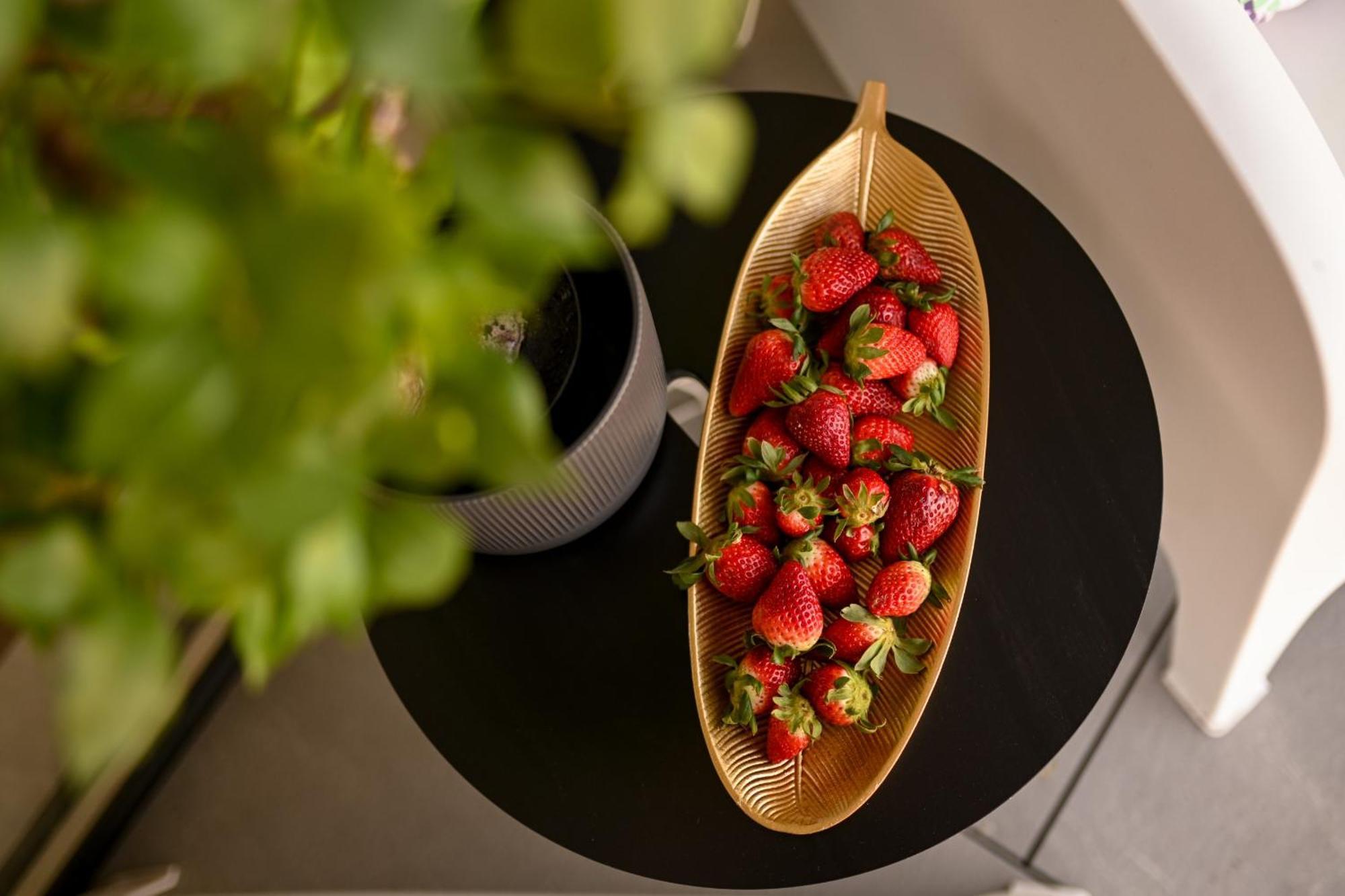 One Verdi Park Exclusive Apartments - Panoramic View & Private Parking 부쿠레슈티 객실 사진